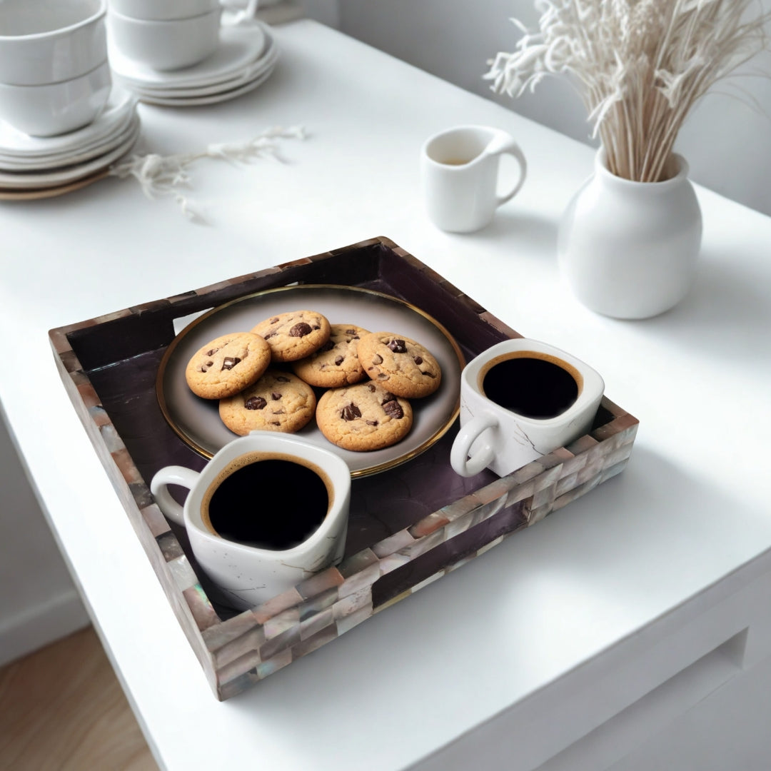 Square Brown mop with enamel Tray