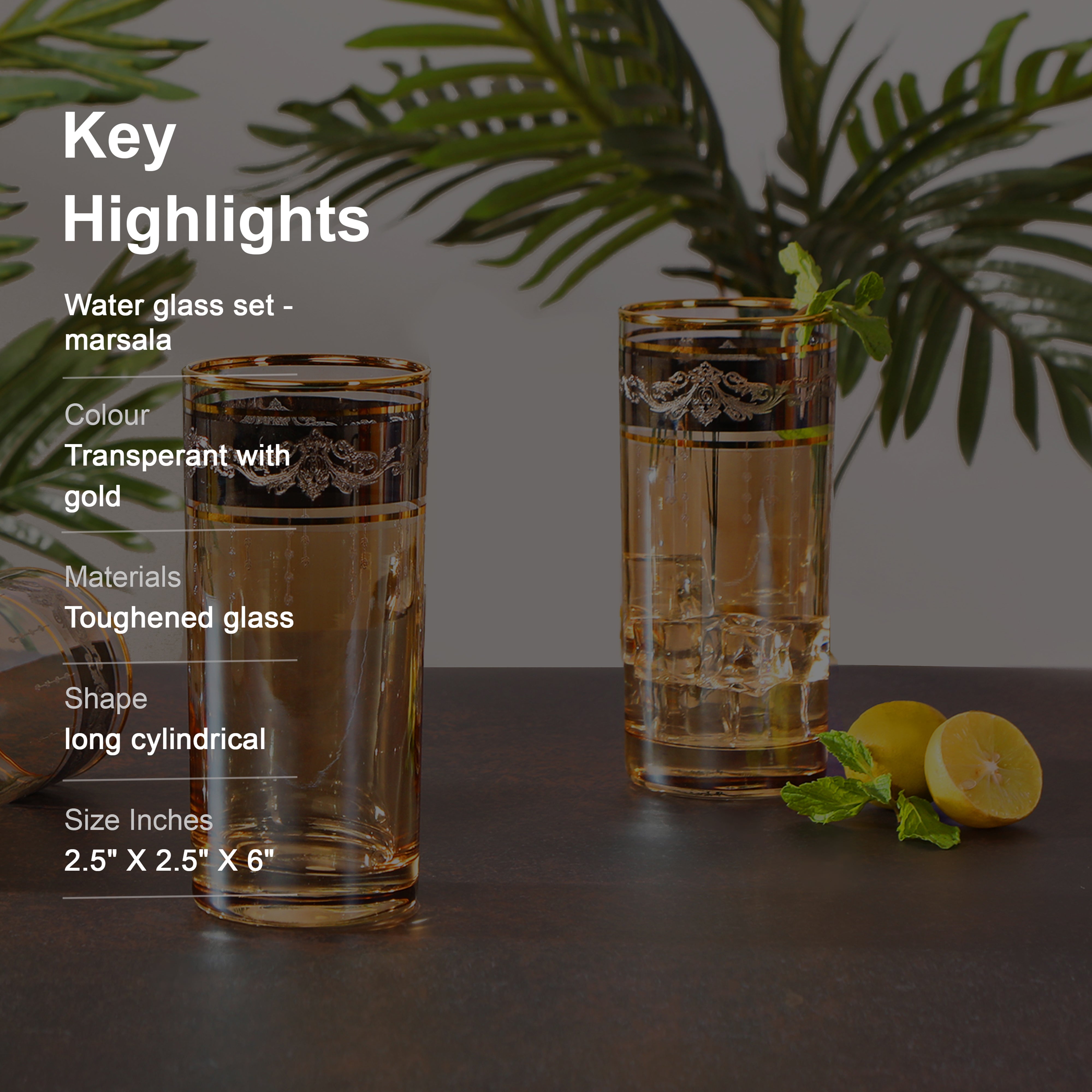 Water Glass Set - Marsala