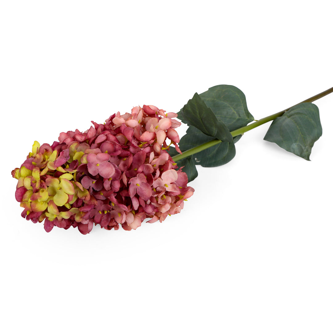 Flower Bunch - Hydrangea Brown Sticks