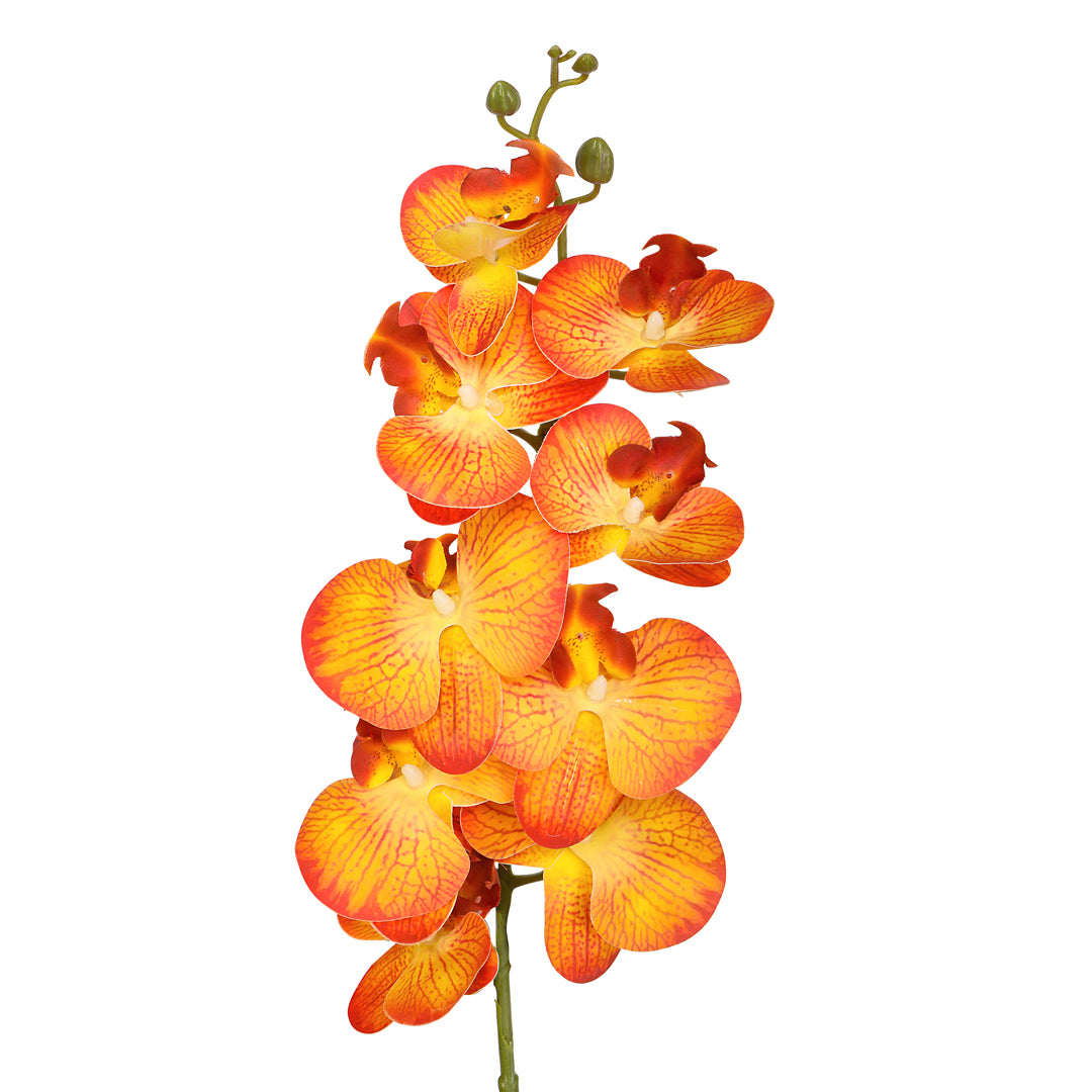 Flower Bunch -Orchid Orange , Pink Sticks 1- The Home Co.