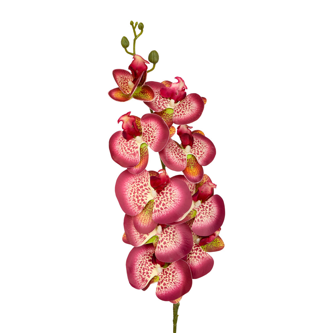 Flower Bunch - Orchid Raddish Cream Sticks 1- The Home Co.