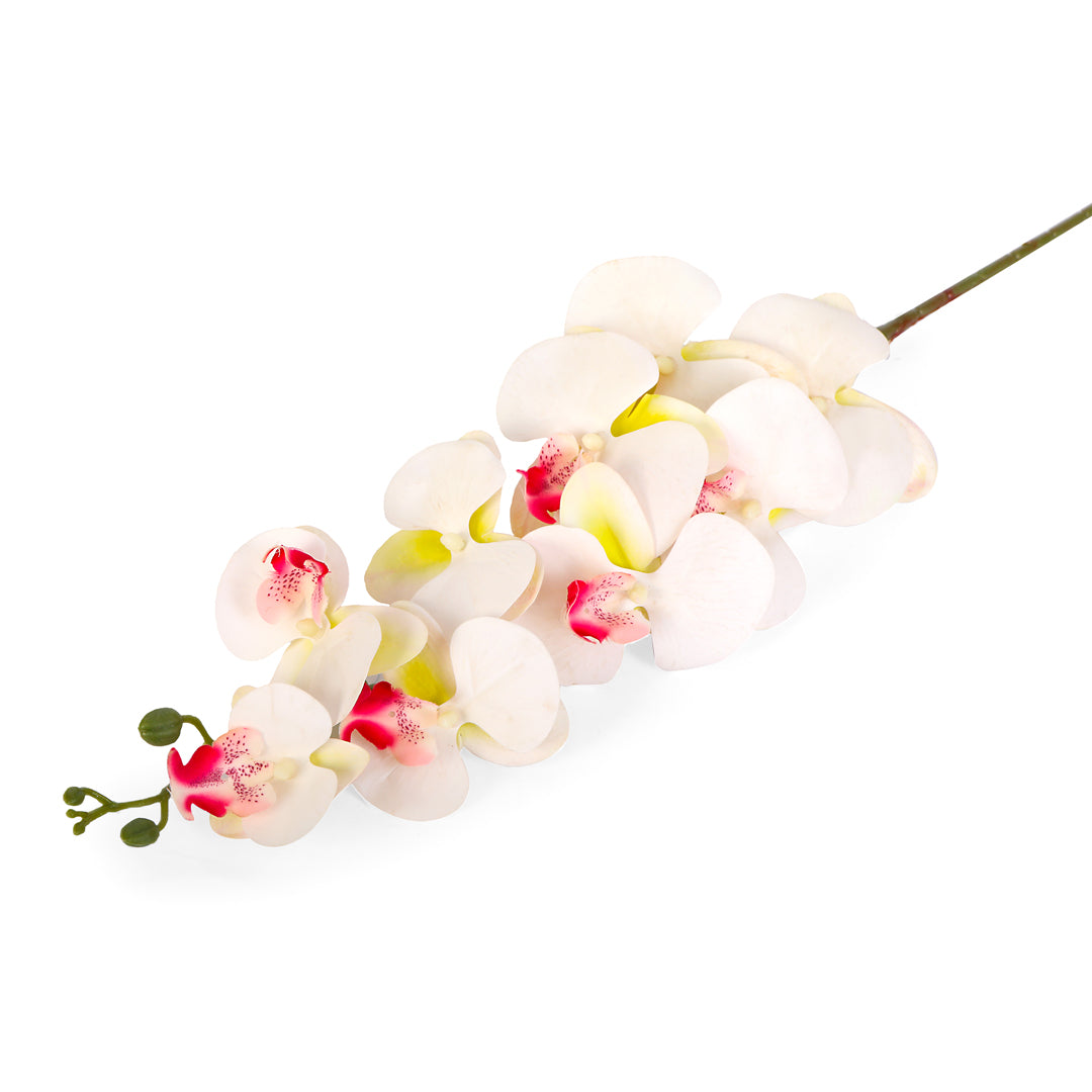 Flower Bunch -Orchid White , Pink Sticks 1- The Home Co.