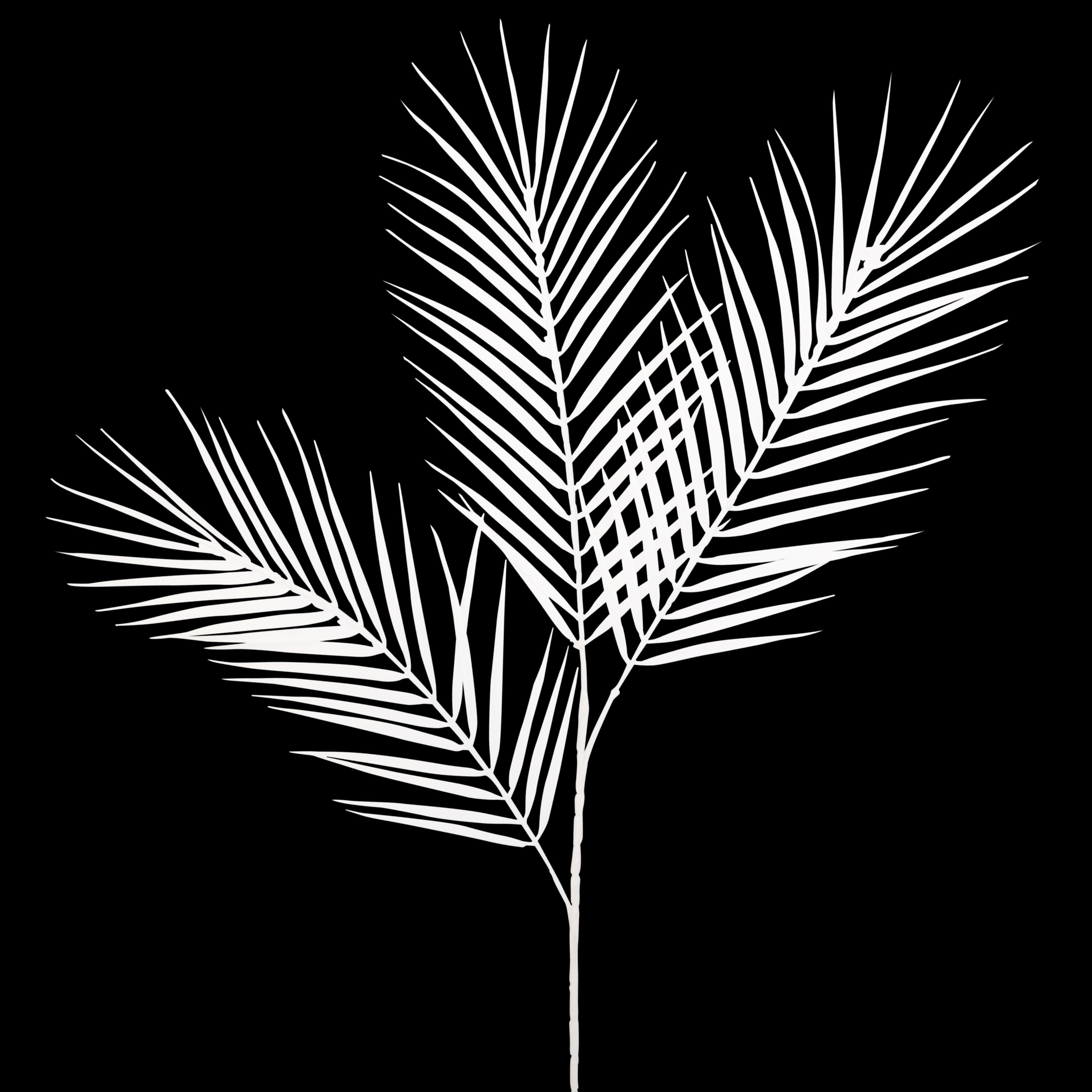 Flower Bunch - Big Fern White Sticks