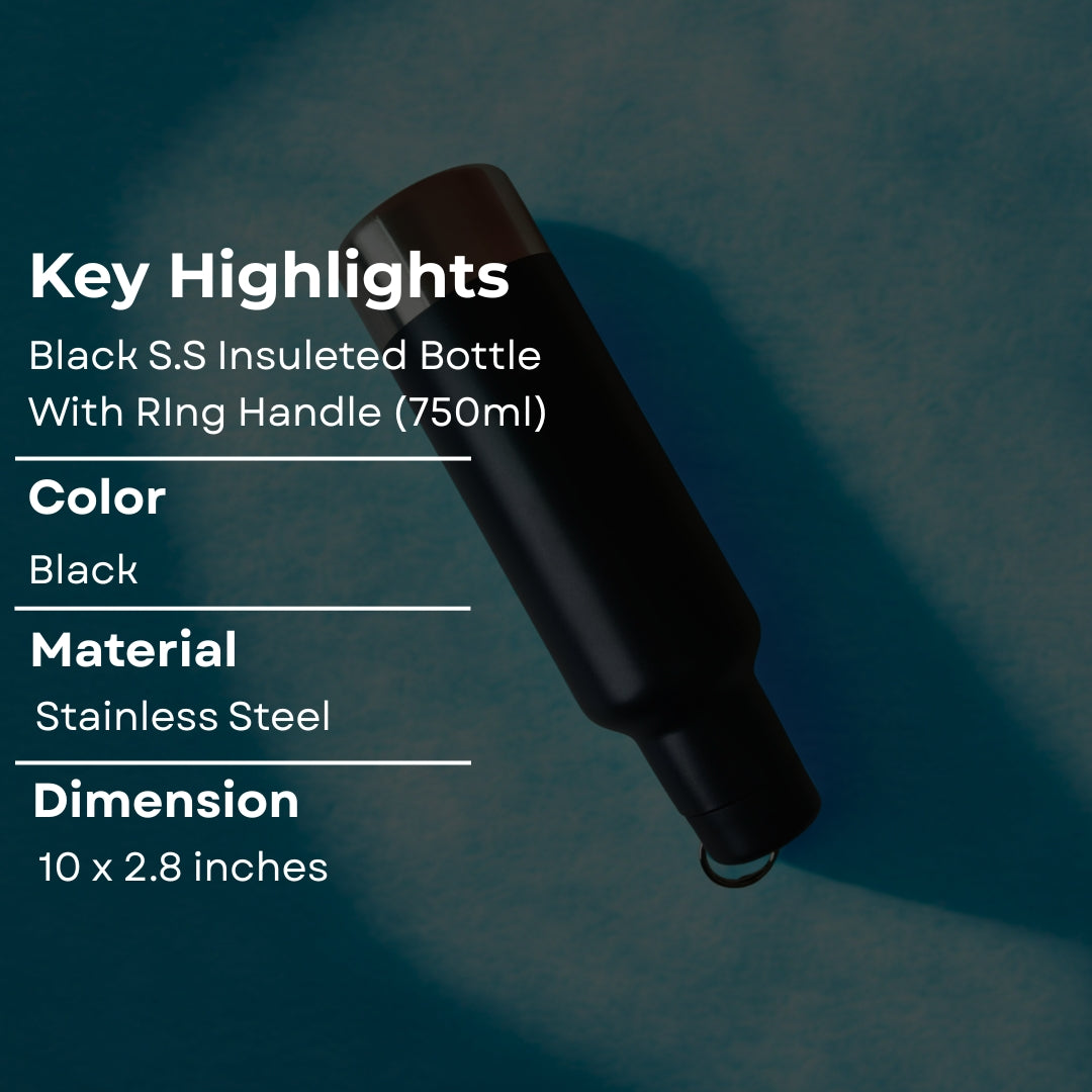 Black Stainless Steel Bottle With Base And Ring Handle(750ml)
