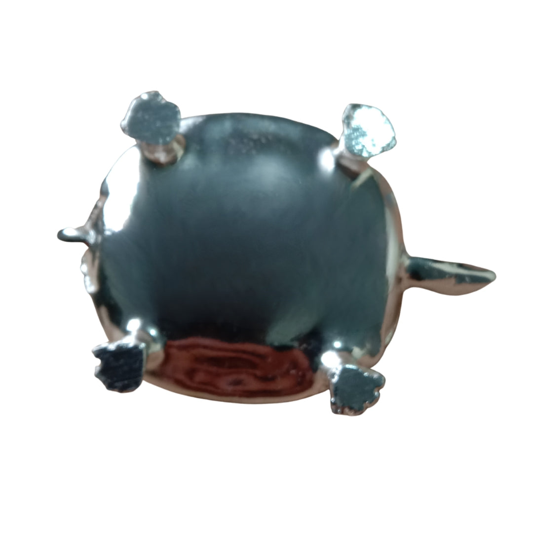 The Home Co- 999 Pure Silver Plated & 24K Gold Plated Royal Ganesha-Kachua Divine Tortule