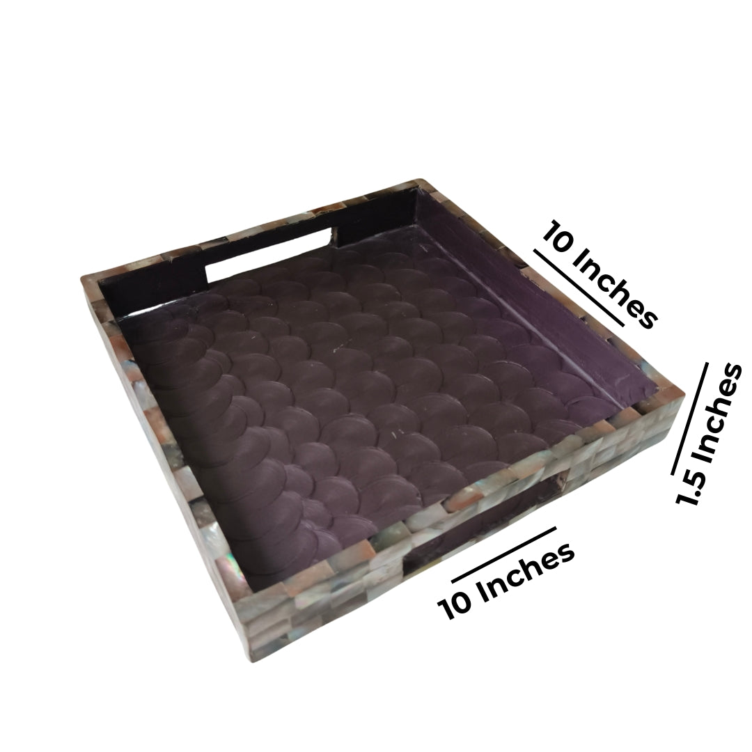 Square Brown mop with enamel Tray