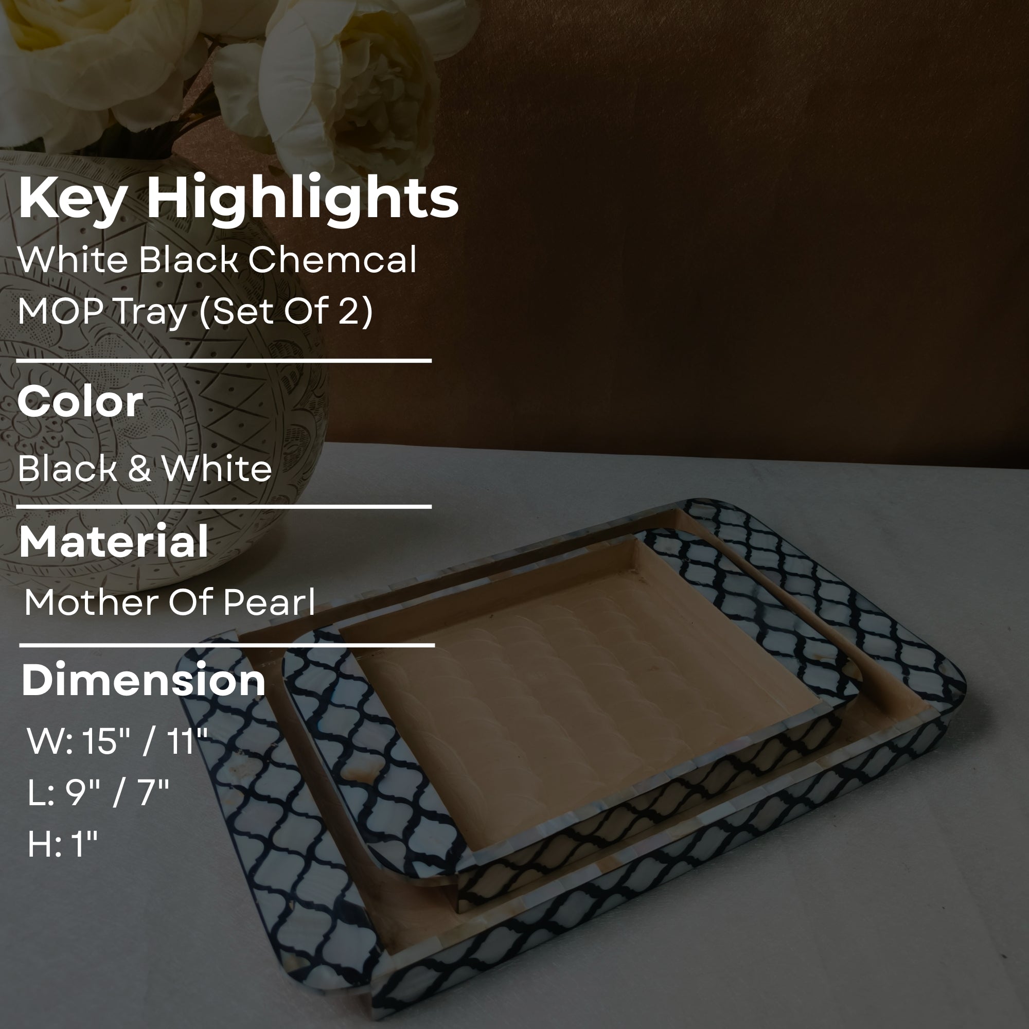 White Black Chemical MOP Tray set of 2