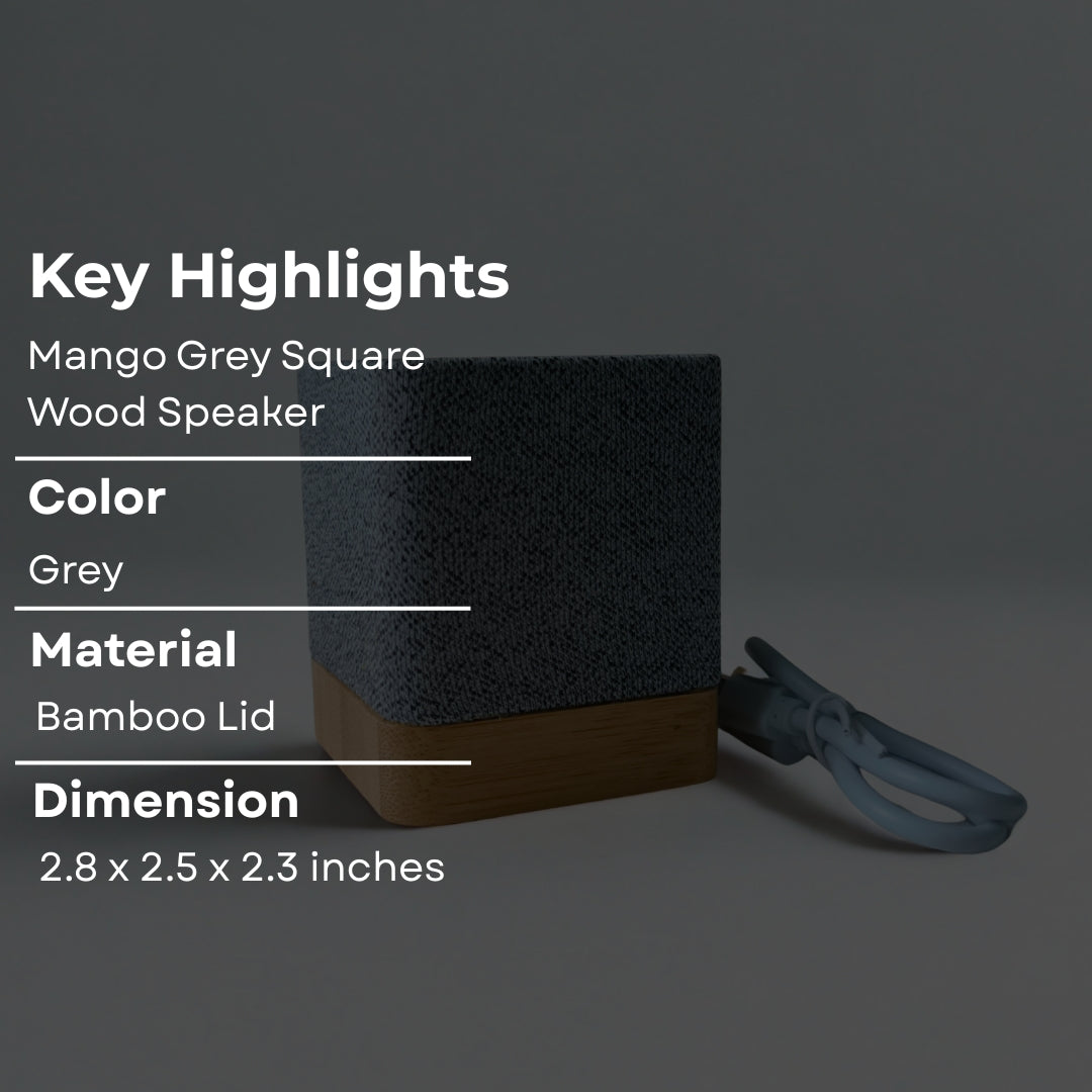 Mango & Grey Square Speaker