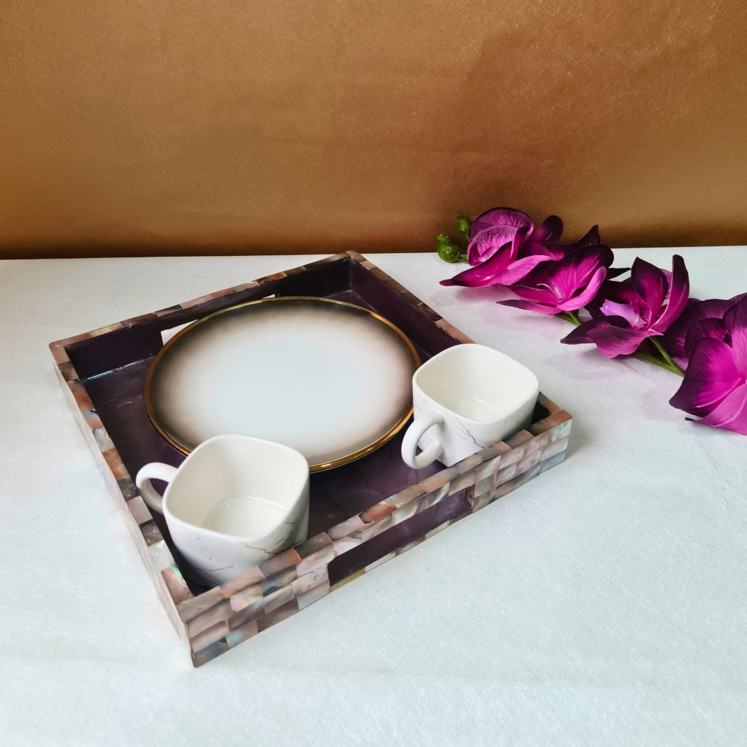 Square Brown mop with enamel Tray