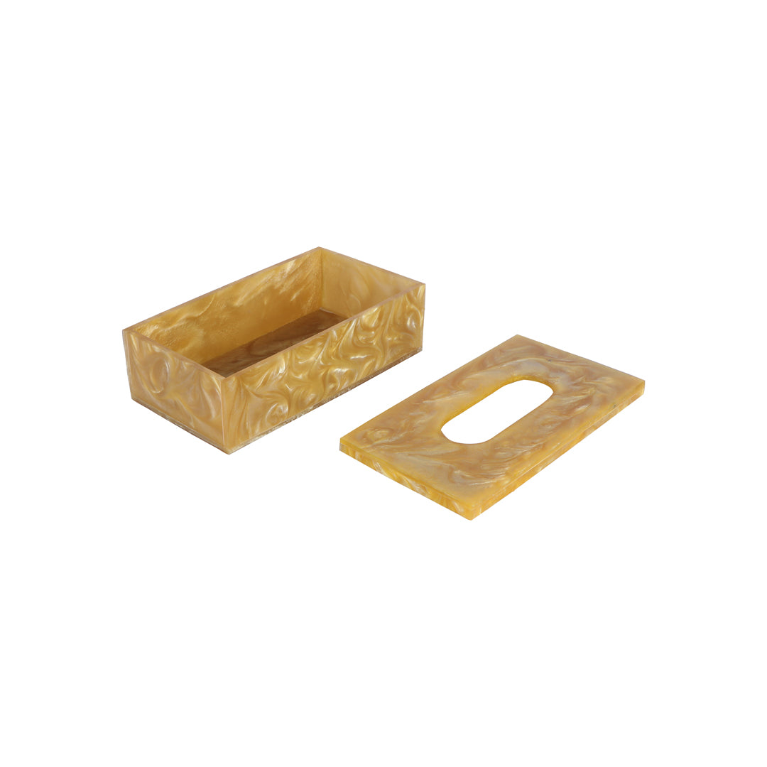 Tissue Box - Gold Resin 2- The Home Co.