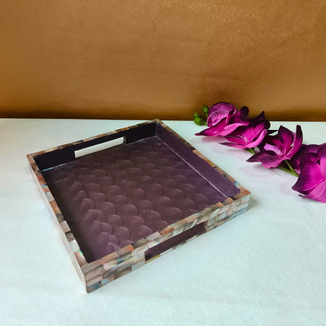 Square Brown mop with enamel Tray