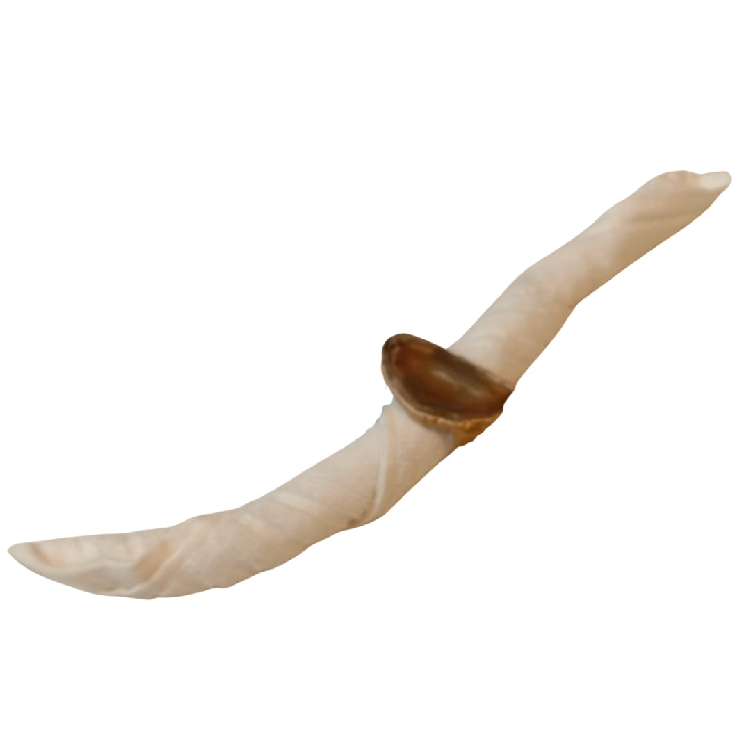 Napkin rings agate set of 8