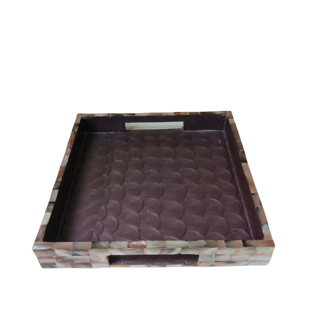 Square Brown mop with enamel Tray