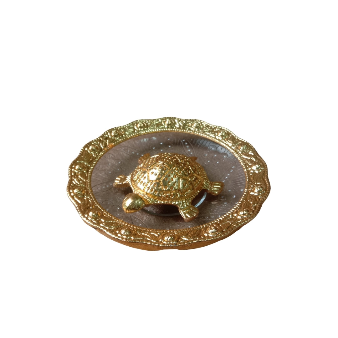 Gold Plated Tortoise in Plate with Turquoise Velvet Box for Good Luck