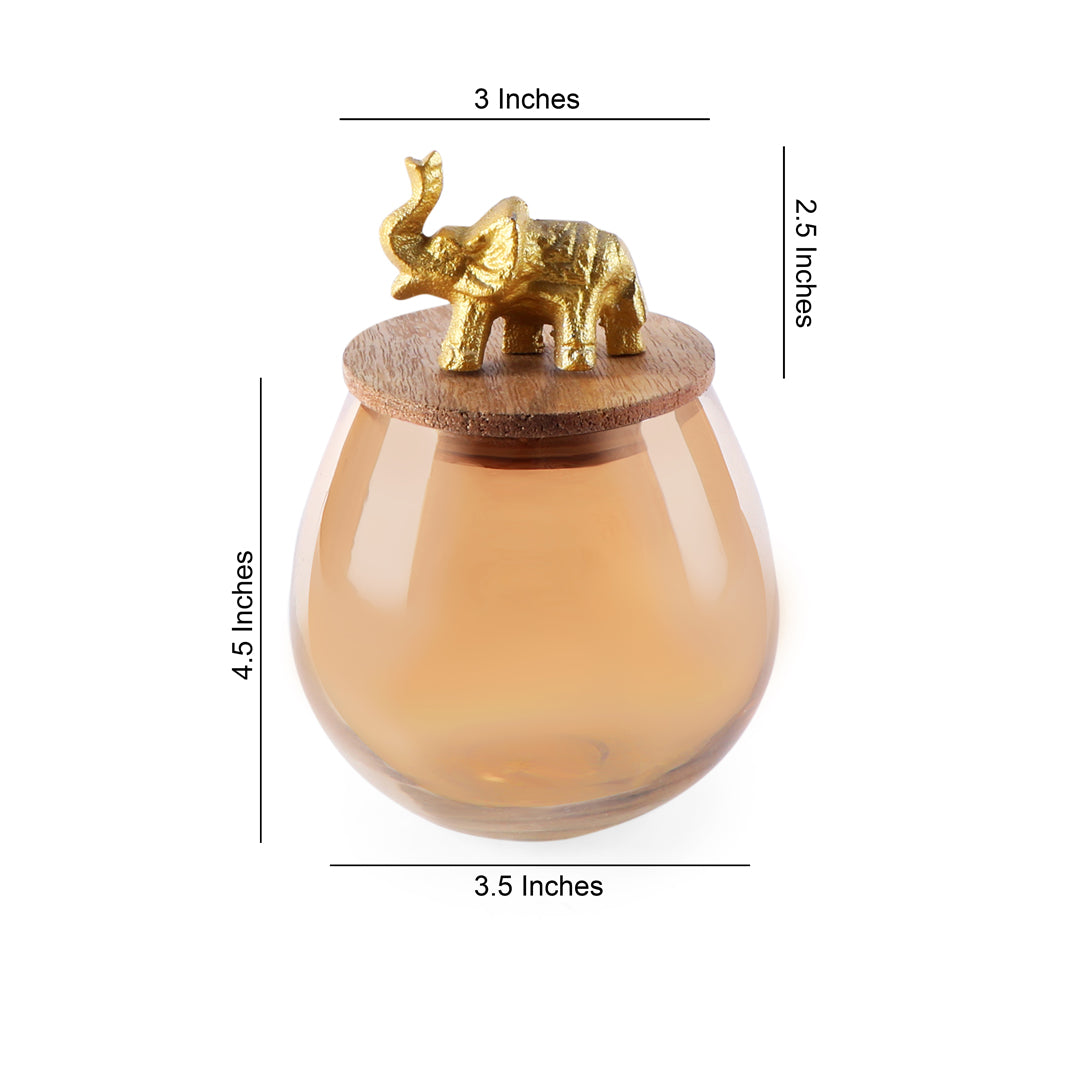Glass Jar Elephant Wooden Lid 5- The Home Co.