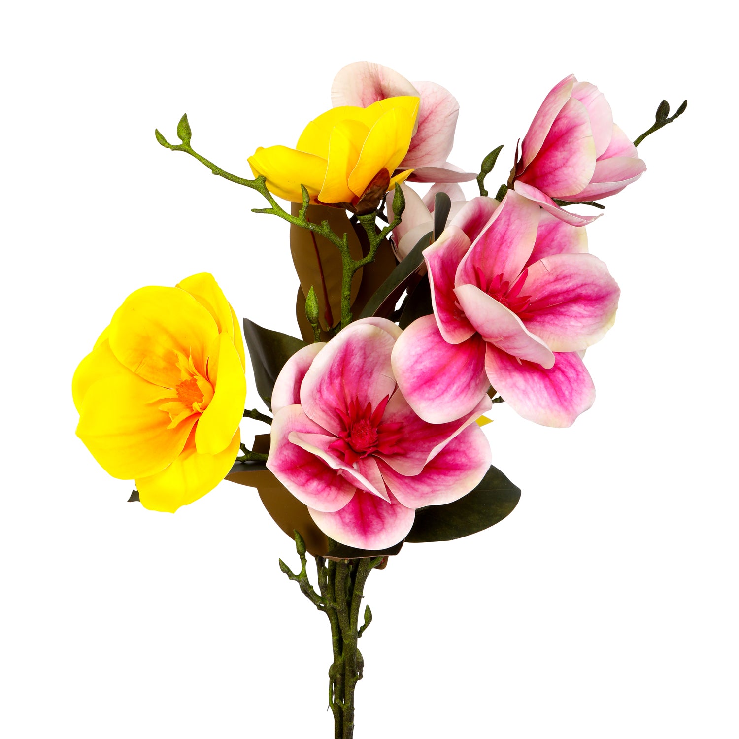 Buy Giant Flowers Online In India -  India