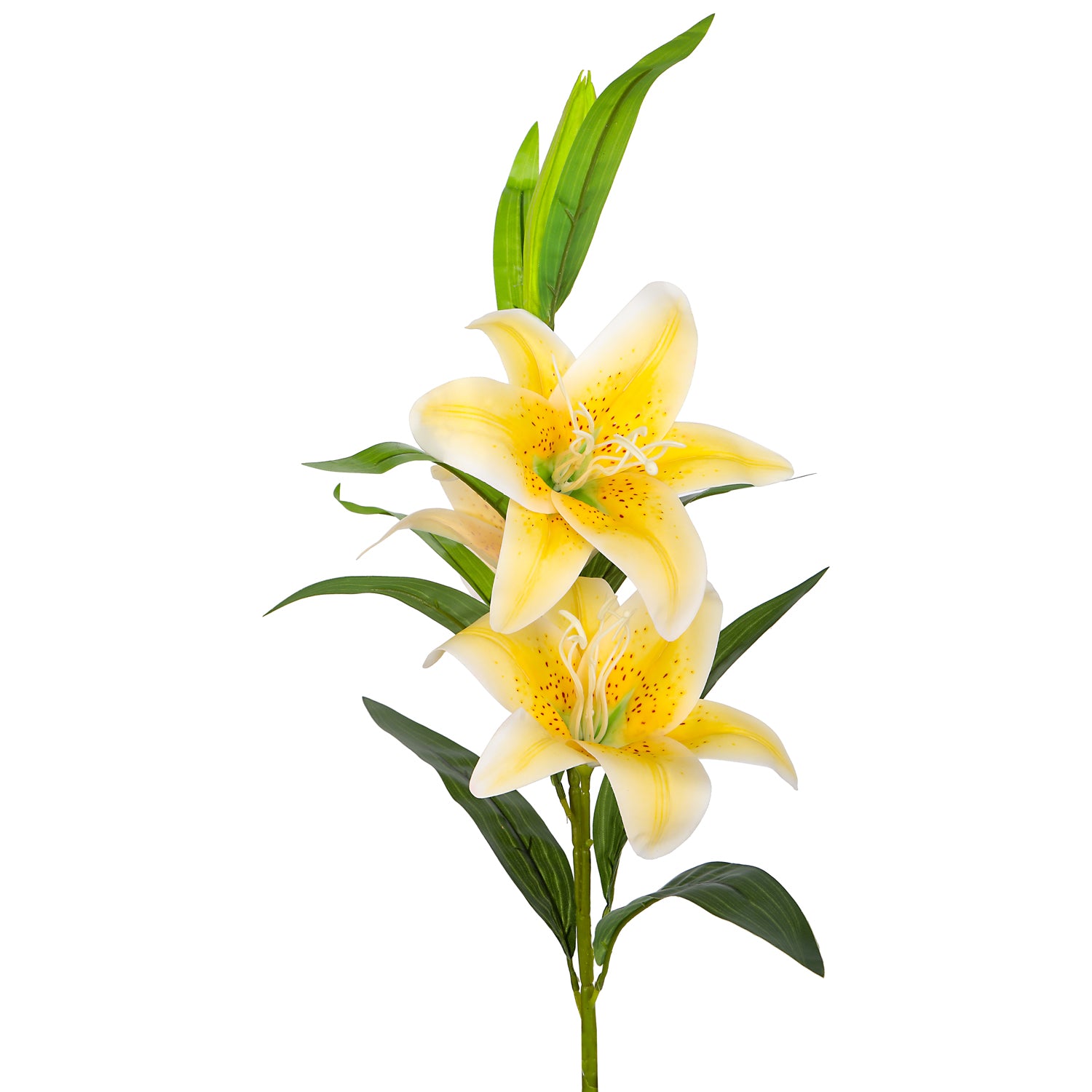 Flower Bunch -Lily Yellow Sticks 2- The Home Co.