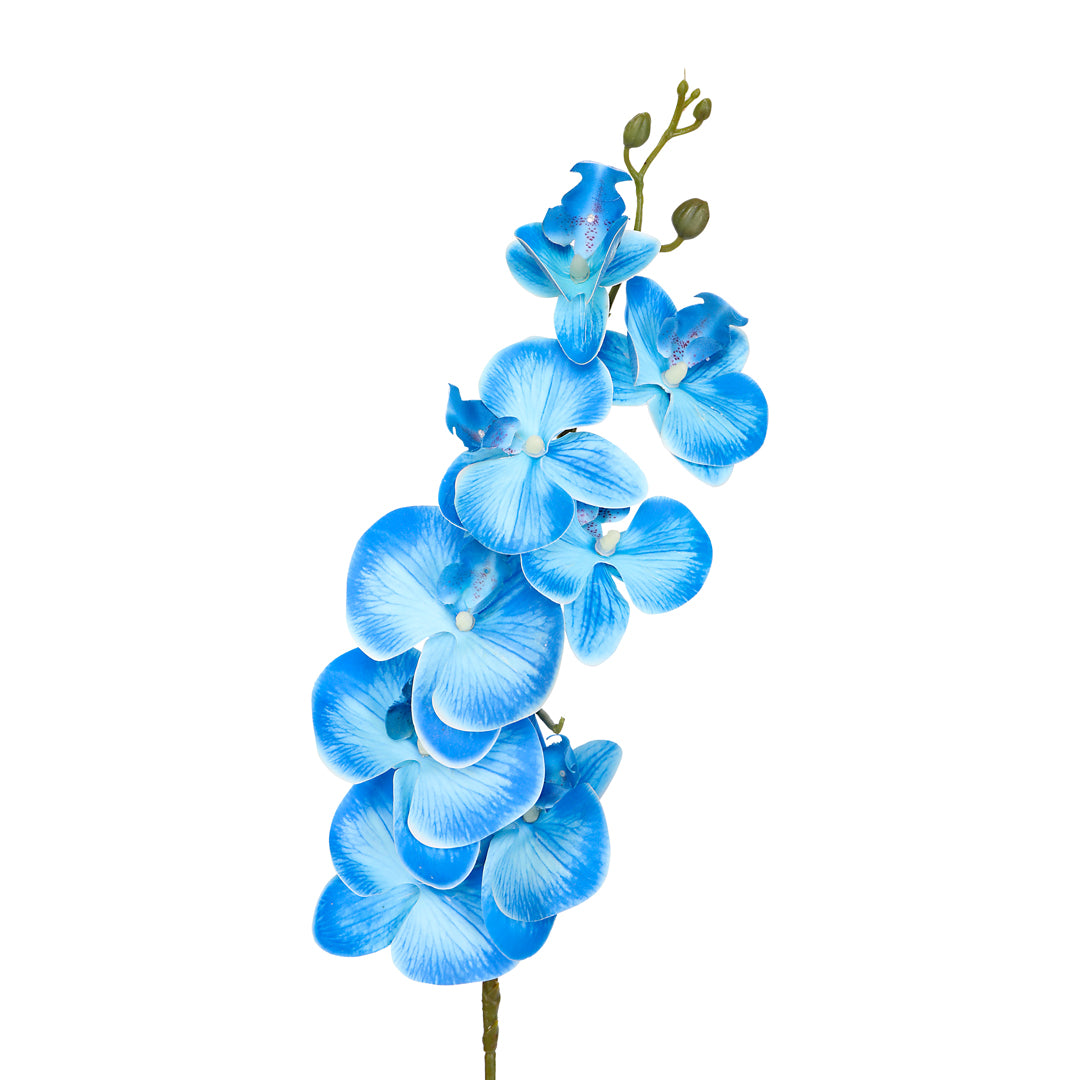 Flower Bunch -Orchid Blue Sticks 2- The Home Co.