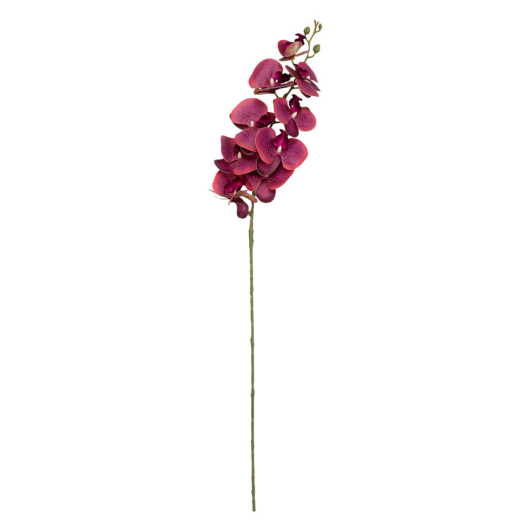 Flower Bunch -Orchid Dark Pink Sticks 2- The Home Co.