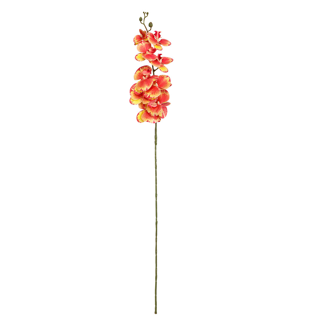 Flower Bunch -Orchid Ocre Pink Sticks 4- The Home Co.