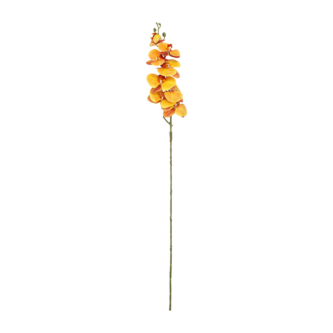 Flower Bunch -Orchid Orange Sticks 2- The Home Co.