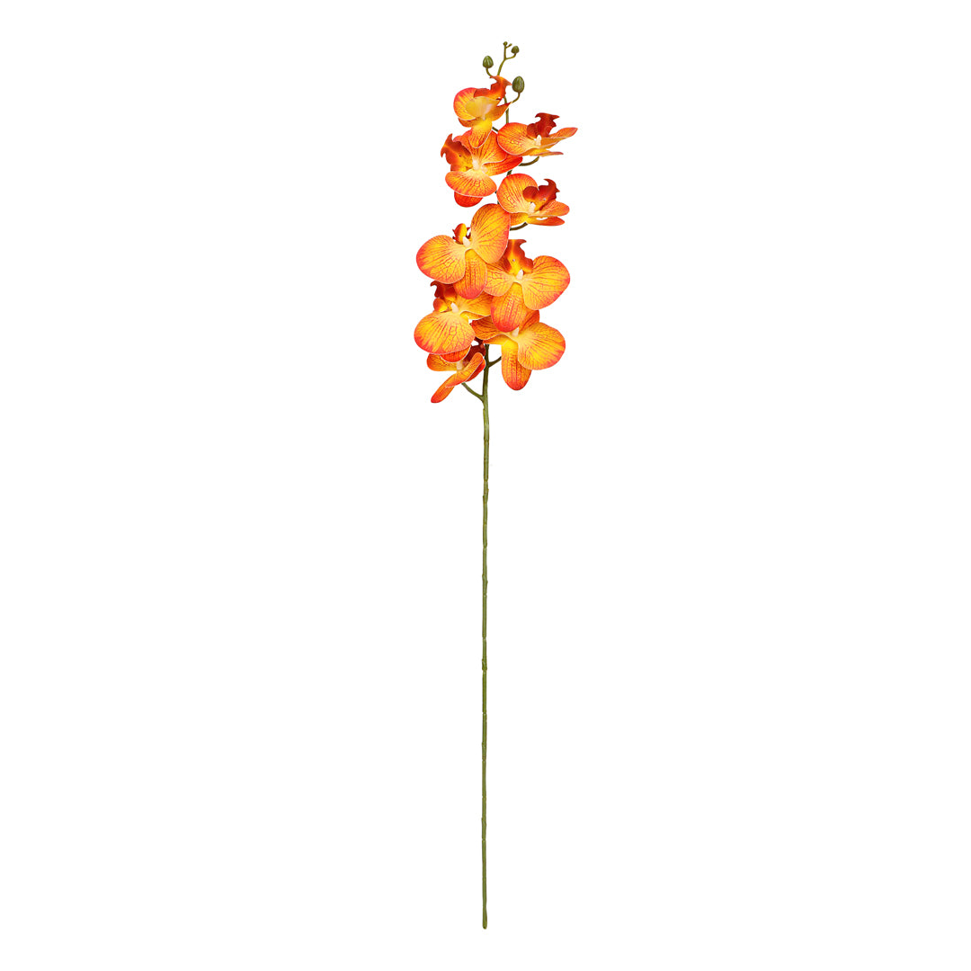 Flower Bunch -Orchid Orange , Pink Sticks - The Home Co.