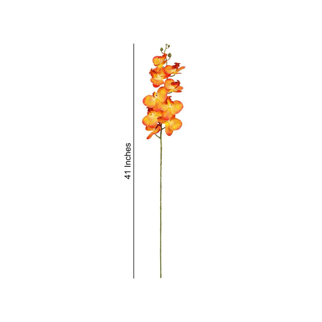 Flower Bunch -Orchid Orange , Pink Sticks 2- The Home Co.