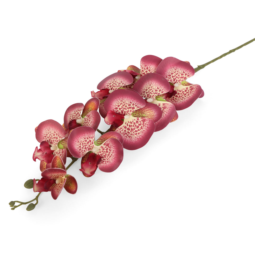 Flower Bunch - Orchid Raddish Cream Sticks 3- The Home Co.
