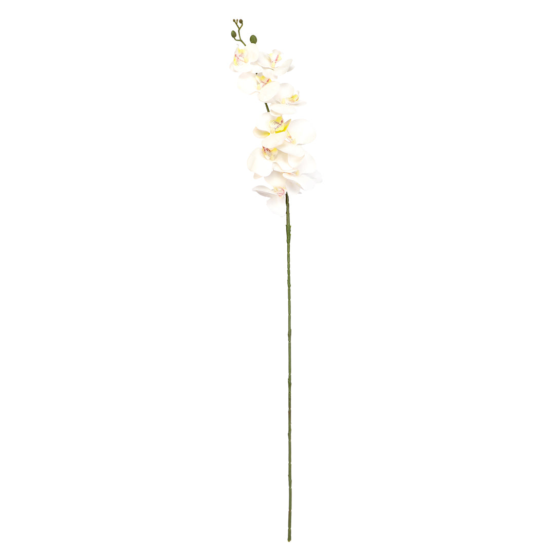 Flower Bunch -Orchid White Sticks 2- The Home Co.