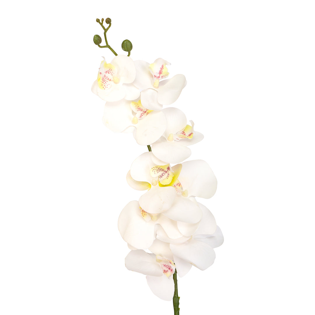 Flower Bunch -Orchid White Sticks 3- The Home Co.