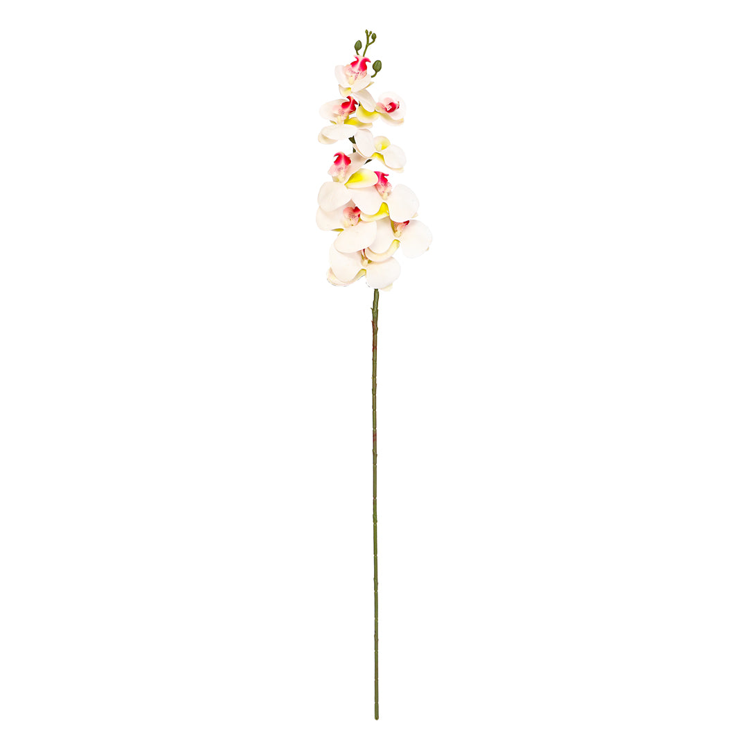 Flower Bunch -Orchid White , Pink Sticks 2- The Home Co.