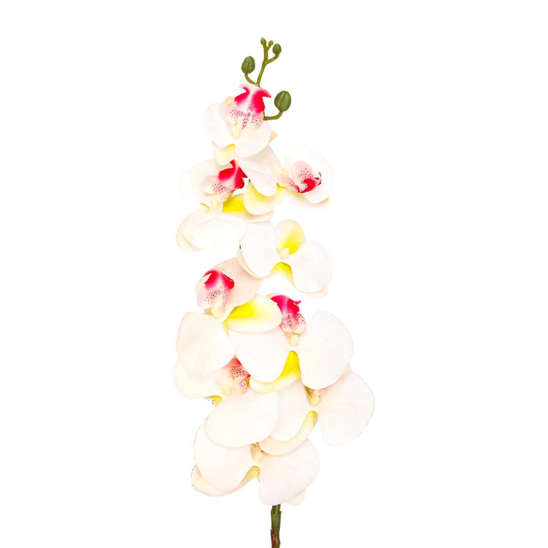 Flower Bunch -Orchid White , Pink Sticks 3- The Home Co.