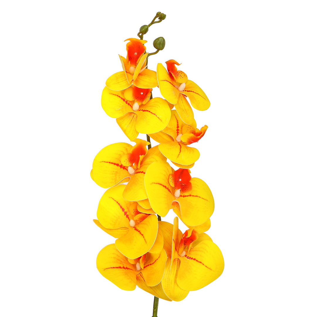 Flower Bunch -Orchid Yellow & Orange Sticks 3- The Home Co.