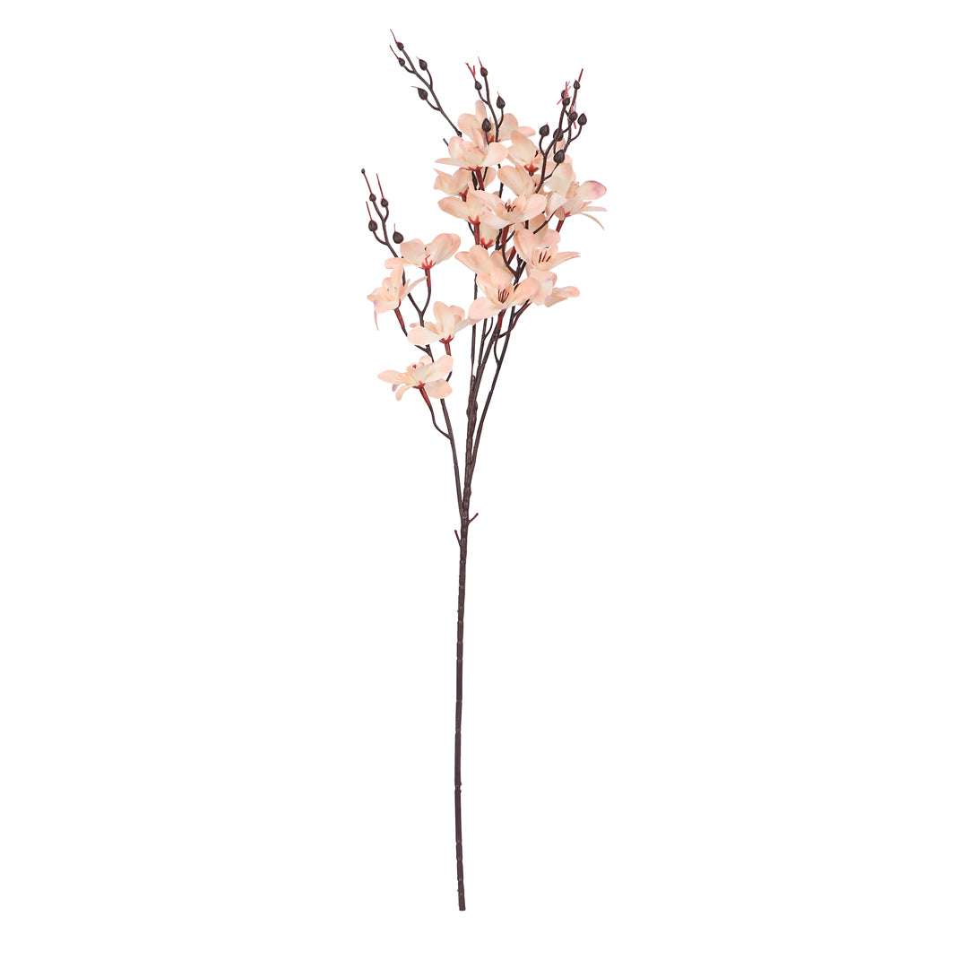 Flower Bunch -Dancing Orchid Creamish Orange Sticks 2- The Home Co.