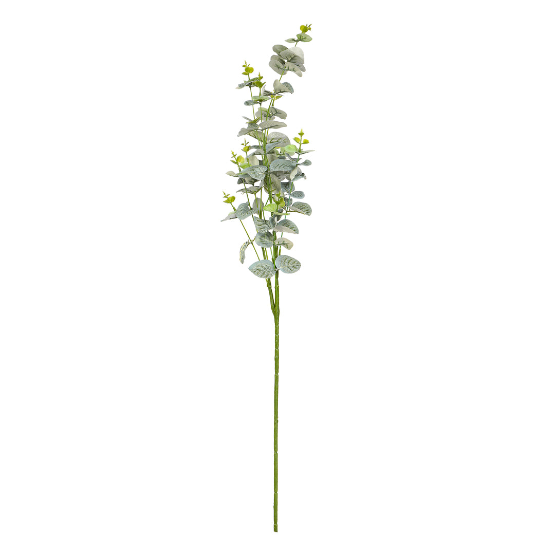 Flower Bunch -Eucalyptus Green Sticks 4- The Home Co.