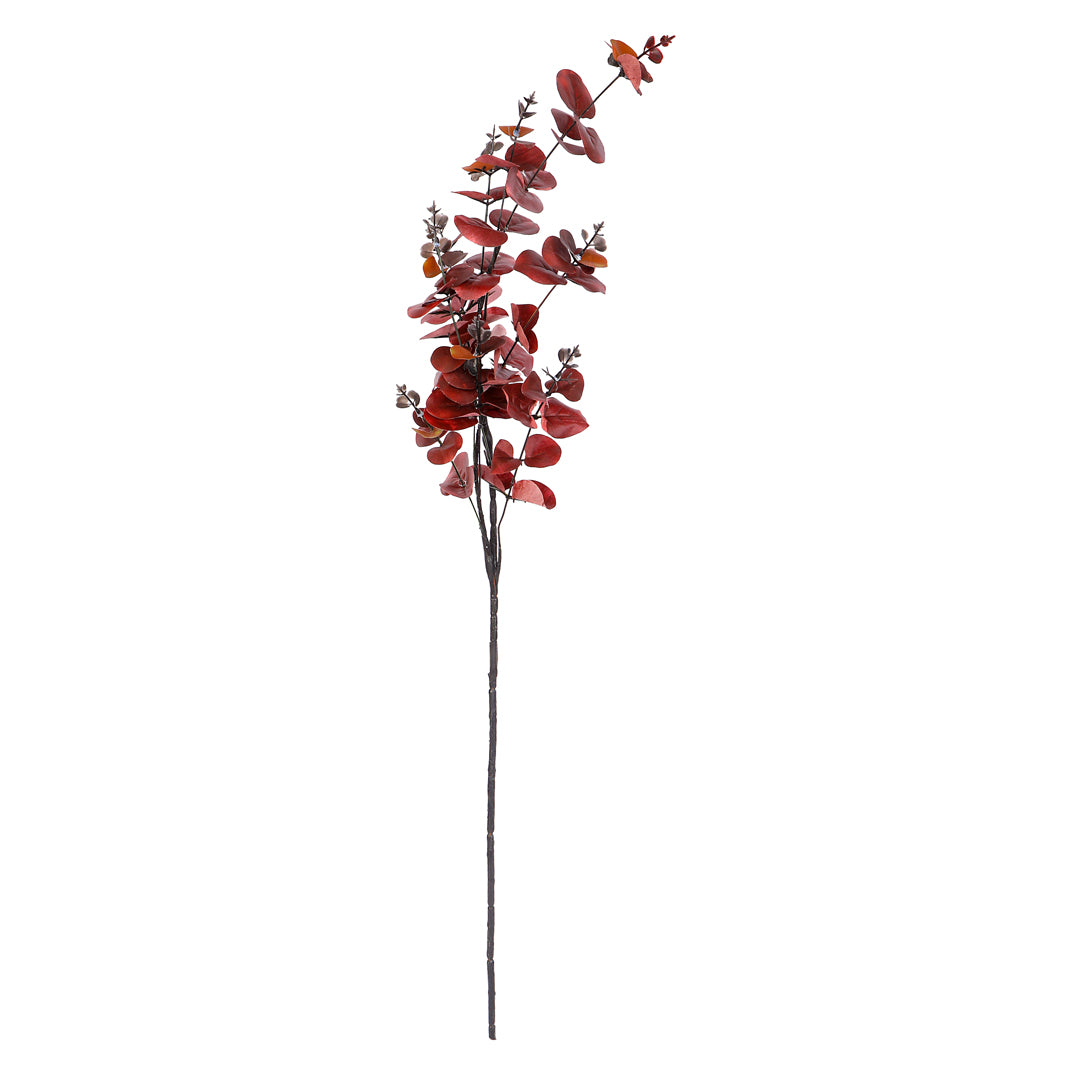 Flower Bunch -Eucalyptus Red Sticks 8- The Home Co.