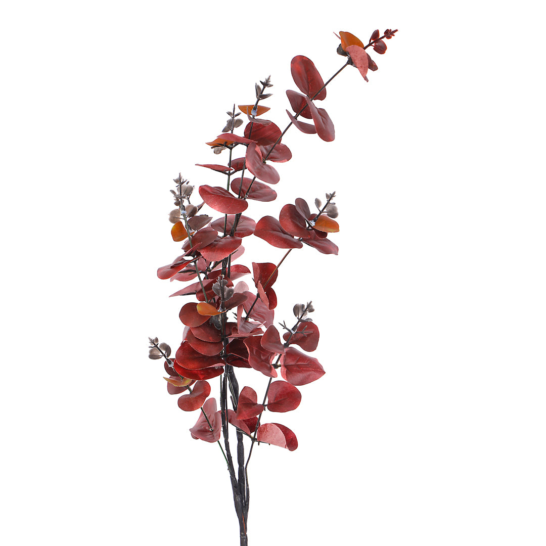 Flower Bunch -Eucalyptus Red Sticks 3- The Home Co.