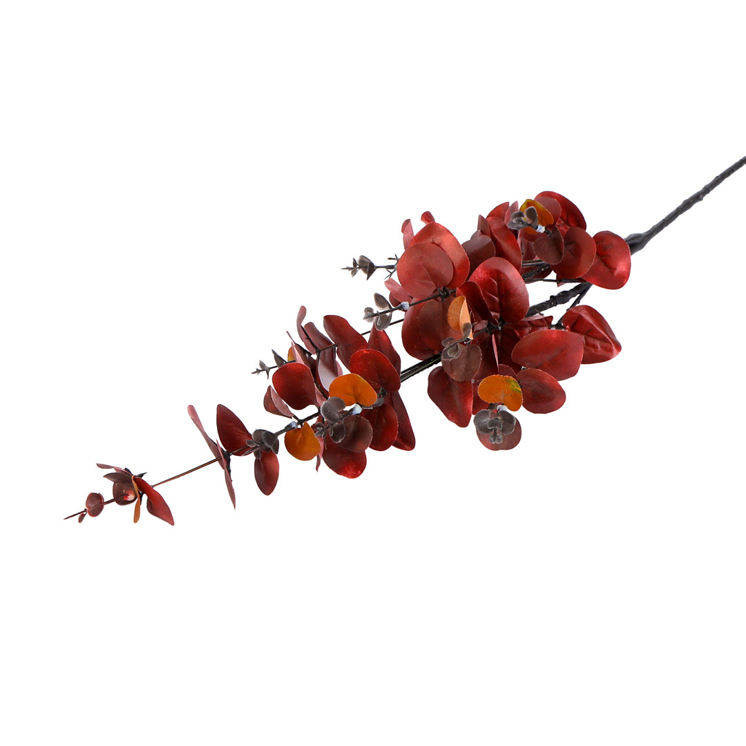 Flower Bunch -Eucalyptus Red Sticks 4- The Home Co.