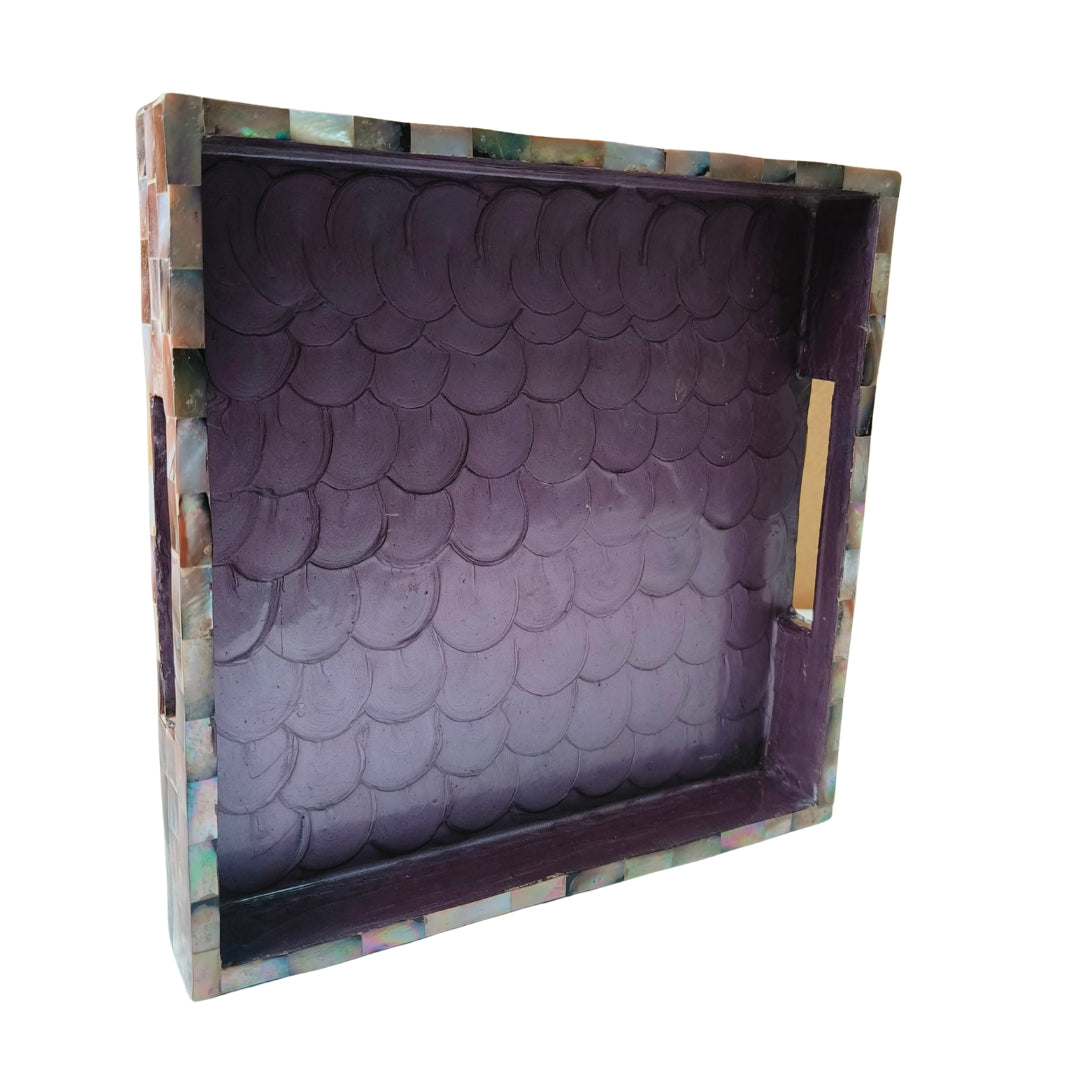 Square Brown mop with enamel Tray