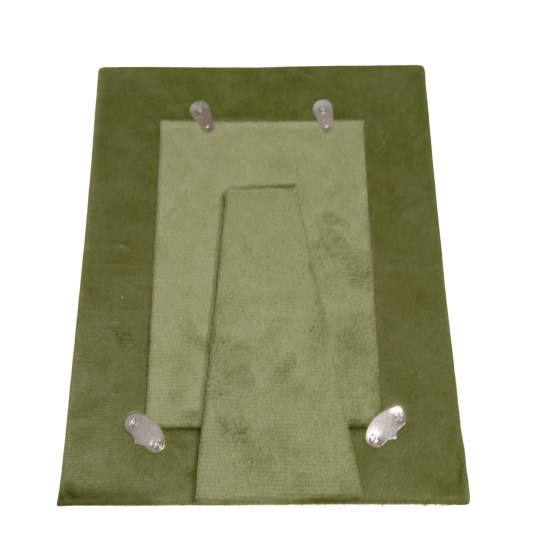 Silver Plated Gulab Baugh Rose Garden Photo Frame (Green Velvet Box)