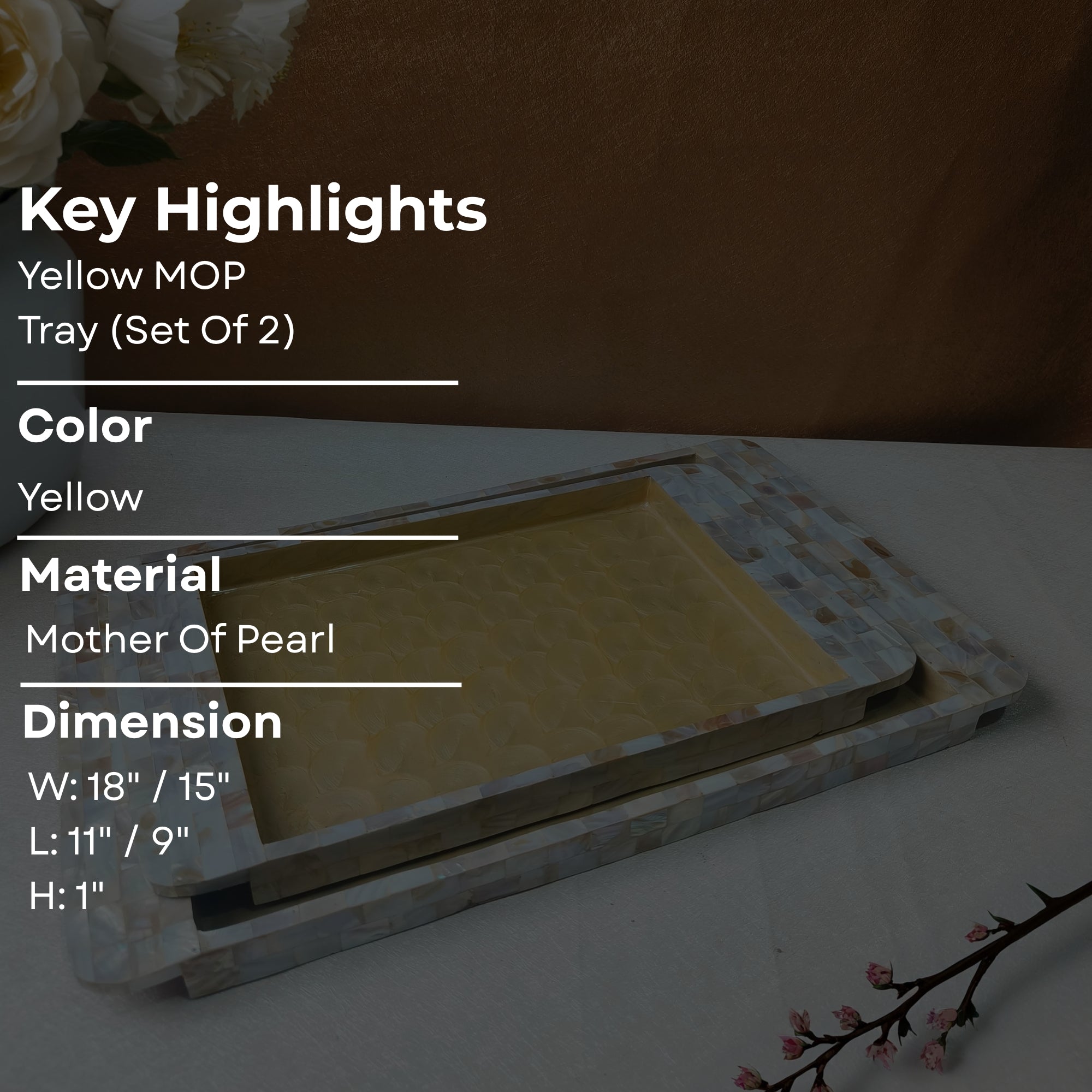 Rectangle Tray Set Of 2 - Wooden with White mother of pearl & yellow enamel