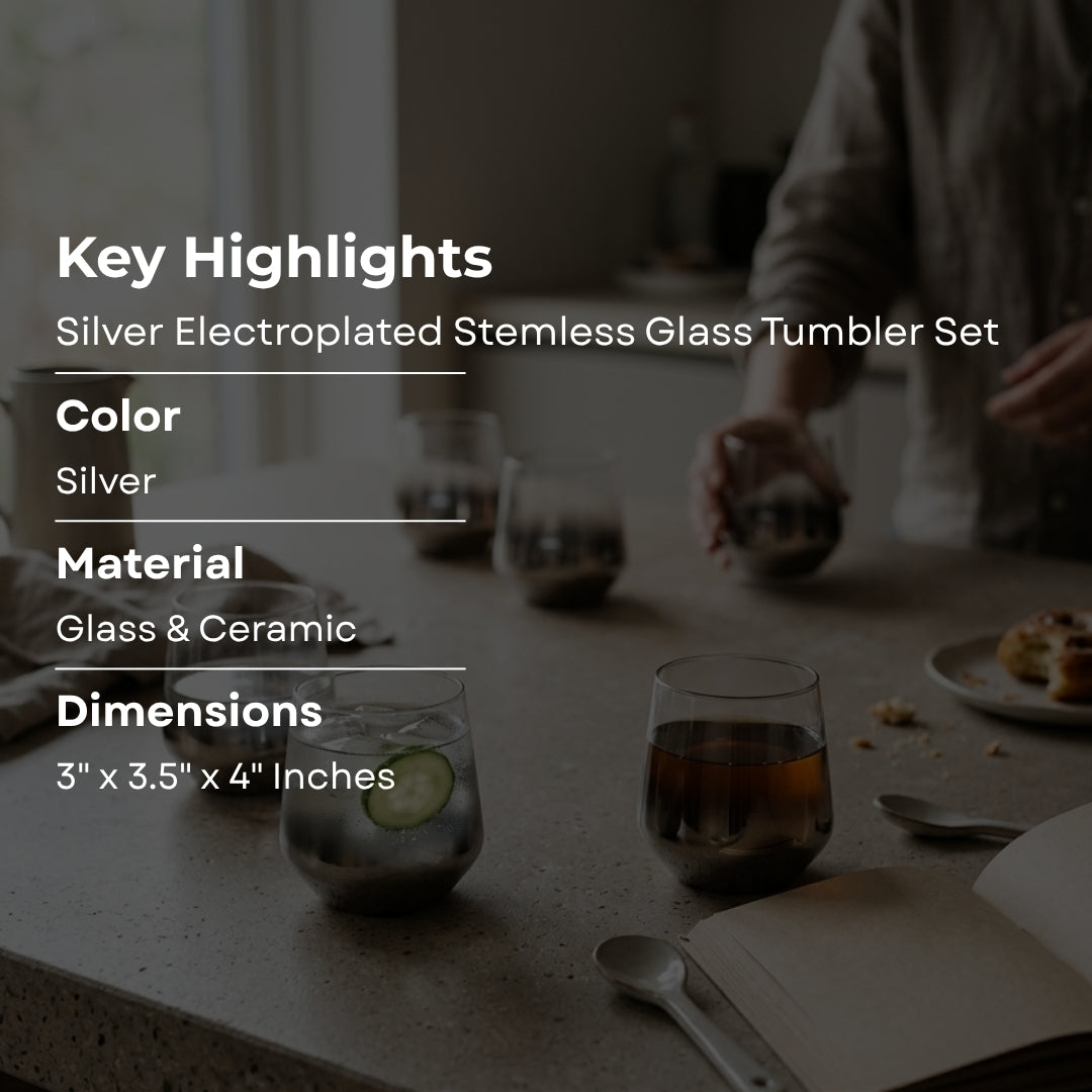 Silver Electroplated Stemless Glass Tumbler Set