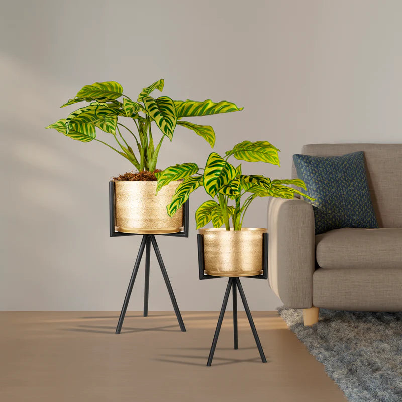 Decorative Golden Round Metal Planters Set of 2